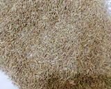 A picture of step 1 of Roasted Cumin Powder (Bhuna Zeera Powder).