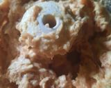 Foto langkah ke 1 dari resep Bola Ayam keju frozen.