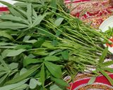 Foto langkah ke 1 dari resep Gulai Daun Ubi Tumbuk.