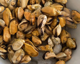 Foto del paso 1 de la receta: Mejillones fritos