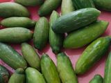 ટીંડોળા નું શાક (Tindora Shak Recipe In Gujarati)