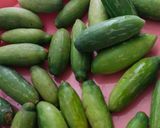 ટીંડોળા નું શાક (Tindora Shak Recipe In Gujarati) રેસીપી સ્ટેપ1ફોટો