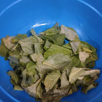 Langkah 1