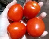 Hình bước làm 1 của món Cà chua dầm đường