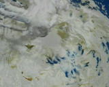 Foto del paso 9 de la receta: Tarta de zanahoria con queso crema