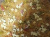 سمك لانشوبة معمر (شطون)