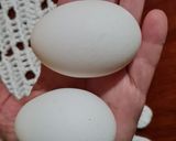 Foto del paso 1 de la receta: Huevos duros en pava eléctrica (rebusque de viajera saludable con bajo presupuesto 😅)
