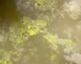 Foto langkah ke 4 dari resep Sup Jagung Telur mix Daging.