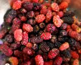 A picture of step 1 of Mulberry mint cooler.