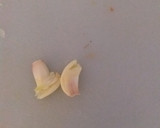 Foto del paso 5 de la receta: 🥄 Cazuela de pescado 🐟🦑🐚 de Garrucha