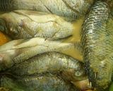 Foto langkah ke 4 dari resep Ikan Nila Goreng Pala Jinten.