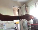 Foto del paso 13 de la receta: Fideuá de marisco