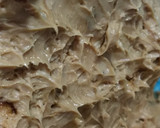 Foto del paso 2 de la receta: Crema para crepas