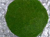 Tricolor Kaju Roll