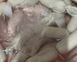 Foto langkah ke 6 dari resep ❣️Sosis Ayam Tanpa MSG.