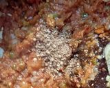 A picture of step 9 of Chicken kachori (Detailed Recipe with pics).