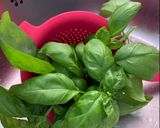 Foto del paso 2 de la receta: Pesto de Albahaca 🌿 fresca y tomate 🍅 deshidratado