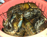 Foto del paso 1 de la receta: Langostinos de río 🦞 (CrawFish) Fusión Cajún Mojo