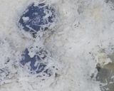 Foto langkah ke 9 dari resep Klepon Bunga Telang.
