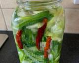 Fermented spring onions and cabbage Thai style recipe step 5 photo