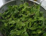 عکس مرحله 1 از دستور شربت نعنا خانگی(تمام مراحل)