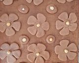 Foto del paso 2 de la receta: Galletas de espelta y canela