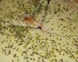 Foto del paso 5 de la receta: Pizza casera