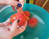 Foto do passo 11 de Massa fresca de manjericão com molho de tomate caseiro