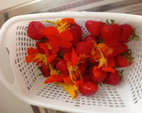 عکس مرحله 1 از دستور چای گل لادن