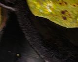 A picture of step 3 of Palak paneer parata.