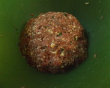 Foto del paso 2 de la receta: Albóndigas especiales de carnes variadas con salsa de vino