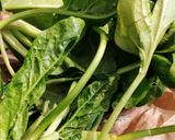 Une image de l'étape 1 de Darne de saumon poêlée, crème au citron vert et épinards.