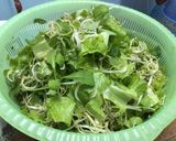Hình bước làm 4 của món Mỳ quảng tôm thịt