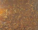 Bolognai spagetti recept fázis 3 fotója