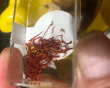Foto del paso 4 de la receta: Guisado de rape y merluza