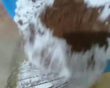 Foto langkah ke 2 dari resep Brownies Mochi Kukus (viral).