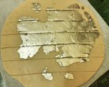 A picture of step 7 of Kaju Katli.