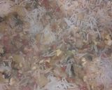 A picture of step 13 of Egg Fried Rice.