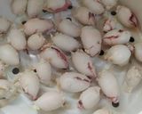Foto langkah ke 2 dari resep Gulai cumi gendut isi tahu.