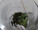 Foto langkah ke 2 dari resep Soda matcha.