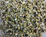 Sprout moong curry recipe step 2 photo