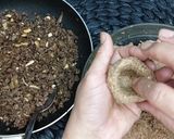 A picture of step 5 of Burghul kabab.
