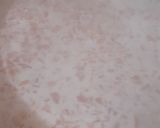 A picture of step 3 of Tricolor carrot kheer.