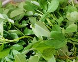 A picture of step 1 of Methi Subzi (Fenugreek leaves Dry Curry).