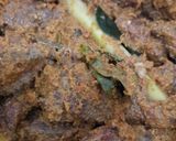 Foto langkah ke 2 dari resep Rendang Daging~ simpel.