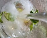 A picture of step 4 of Ginger Ale.