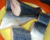 Fish rollmatakin girki2 hoto