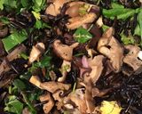 A picture of step 7 of California Farm Wild Rice Mushroom Pilaf.
