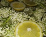 Bodza üdítő recept fázis 3 fotója
