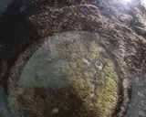 A picture of step 2 of Gond Jaggery Laddu.